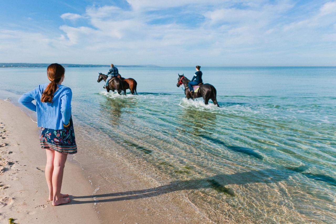 Sailaway Beach House Melbourne Eksteriør billede